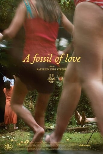 Poster of A Fossil of Love