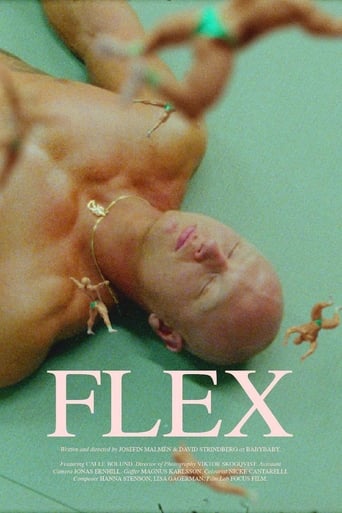 Poster of Flex