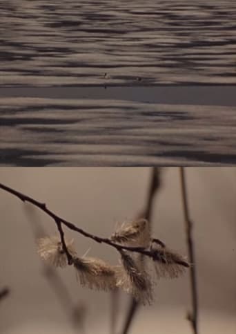 Poster of Spring Beaver