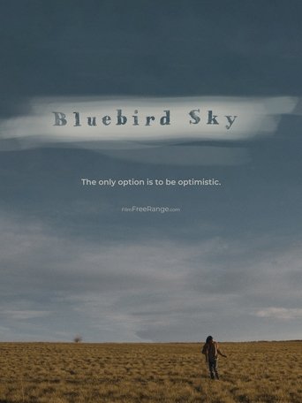 Poster of Bluebird Sky