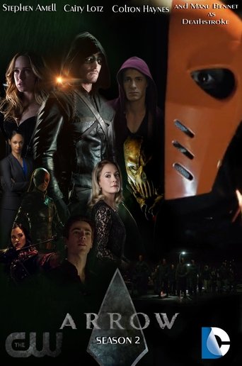 Portrait for Arrow - Season 2