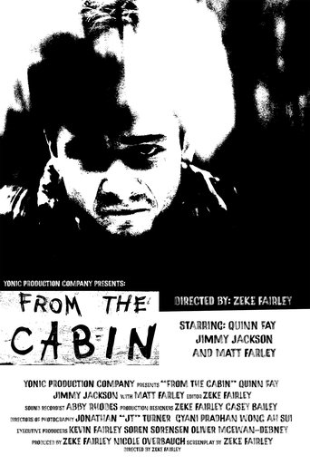 Poster of From The Cabin