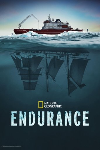 Poster of Endurance