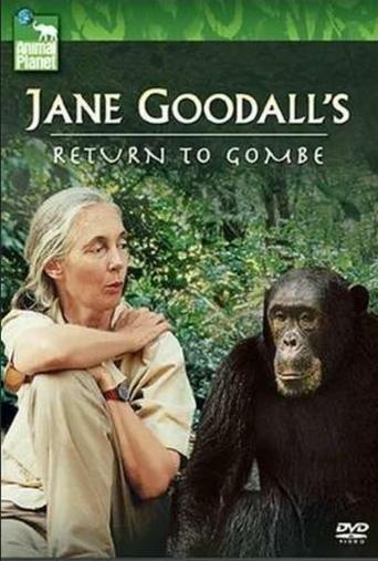 Poster of Jane Goodall's Return to Gombe