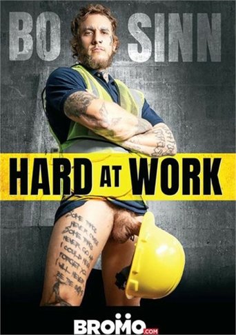 Poster of Bo Sinn: Hard at Work