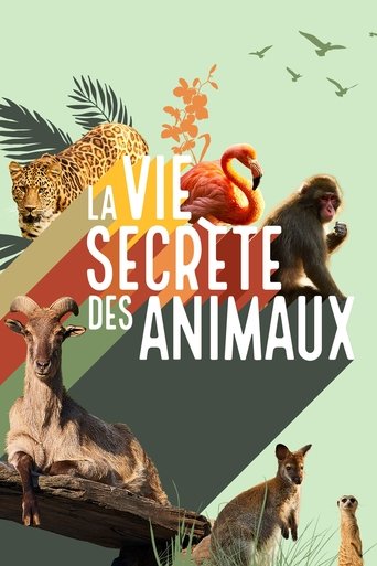 Poster of La vie secrète des animaux