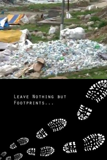 Poster of Leave Nothing but Footprints