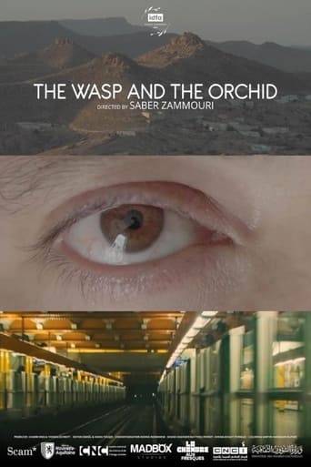 Poster of The Wasp and the Orchid