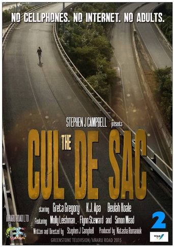 Poster of The Cul de Sac