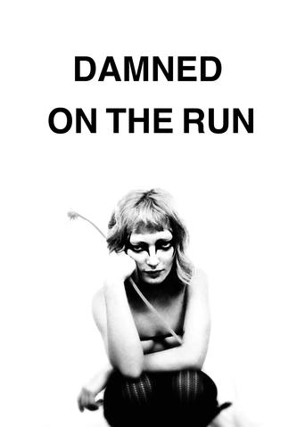 Poster of Damned on the run