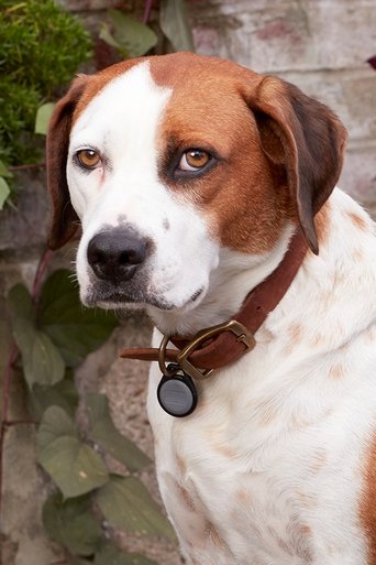 Portrait of Ned