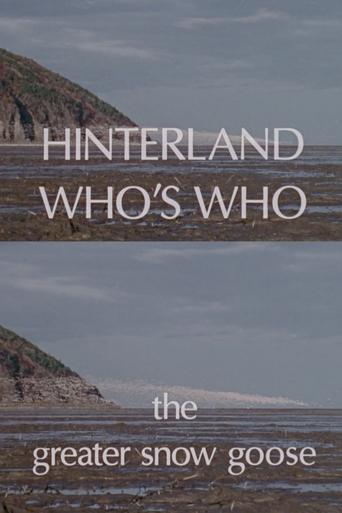 Poster of Hinterland Who's Who: The Greater Snow Goose