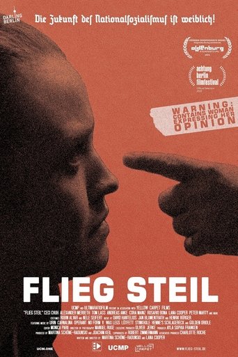 Poster of Flieg steil