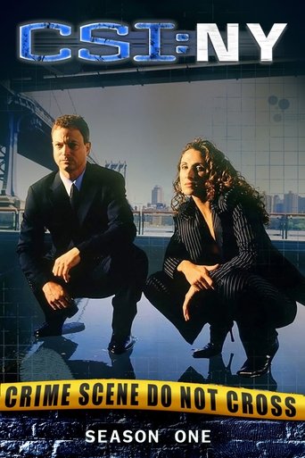 Portrait for CSI: NY - Season 1