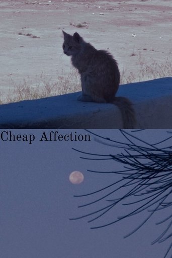 Poster of Cheap Affection