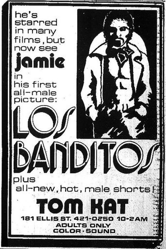 Poster of Los Banditos