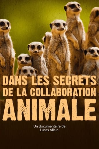 Poster of Dans les secrets de la collaboration animale