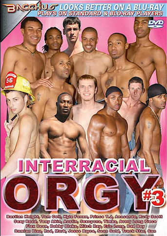 Poster of Interracial Orgy 3