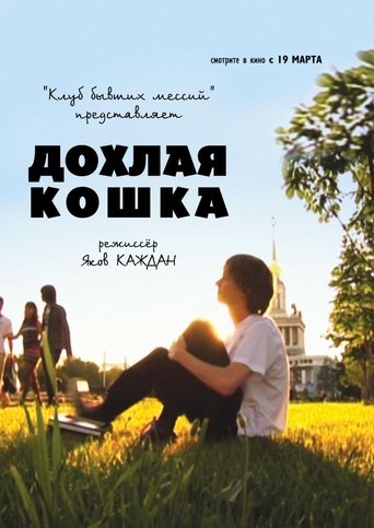 Poster of Дохлая кошка