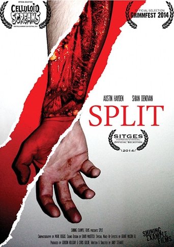 Poster of Split