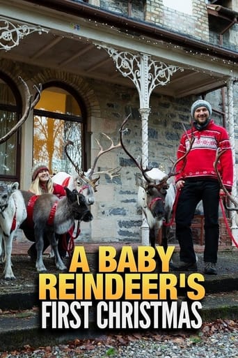 Poster of A Baby Reindeer's First Christmas