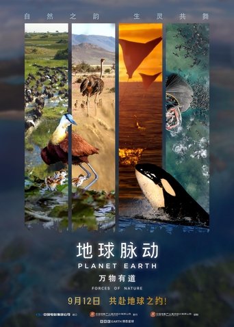 Poster of Planet Earth: Forces of Nature