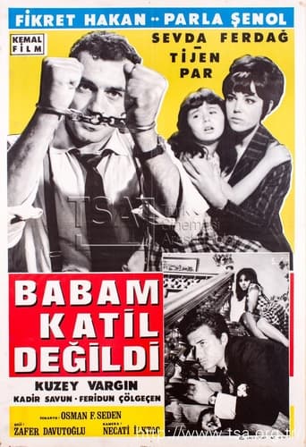 Poster of Babam Katil Değildi