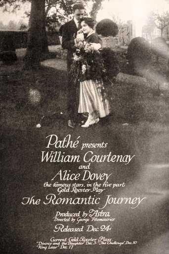 Poster of The Romantic Journey