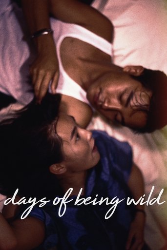 Poster of Days of Being Wild