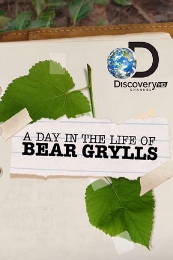 Poster of A Day in the Life of Bear Grylls