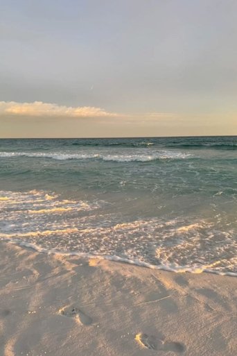 Poster of Erie Beach : The Next Chapter