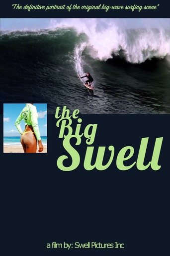 Poster of The Big Swell