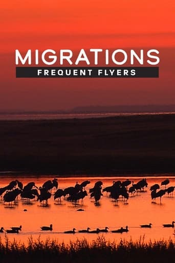 Poster of Migrations: Frequent Flyers