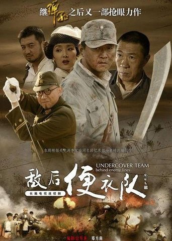 Poster of 敌后便衣队