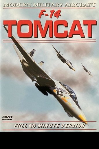 Poster of F-14 Tomcat