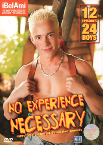 Poster of No Experience Necessary