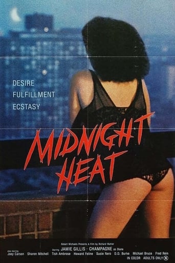 Poster of Midnight Heat