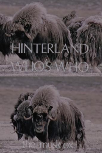 Poster of Hinterland Who's Who: The Musk Ox