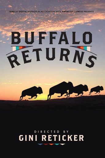 Poster of Buffalo Returns