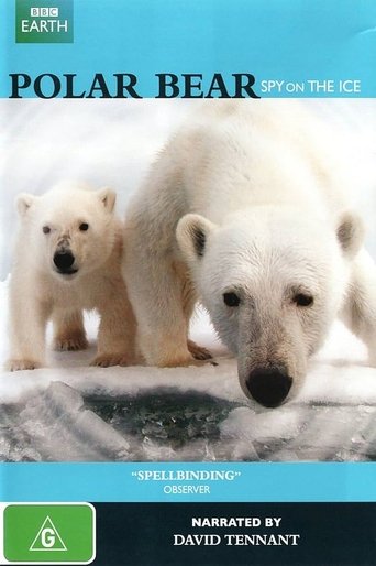 Poster of Polar Bear - Spy on the Ice