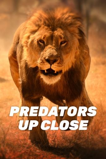 Poster of Predators Up Close with Joel Lambert