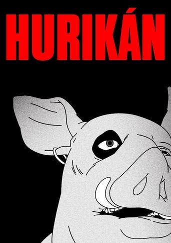 Poster of Hurikán