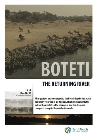 Poster of Boteti: The Returning River