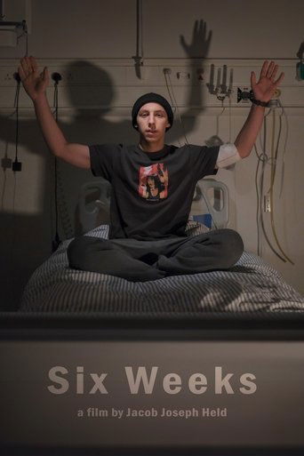 Poster of Six Weeks