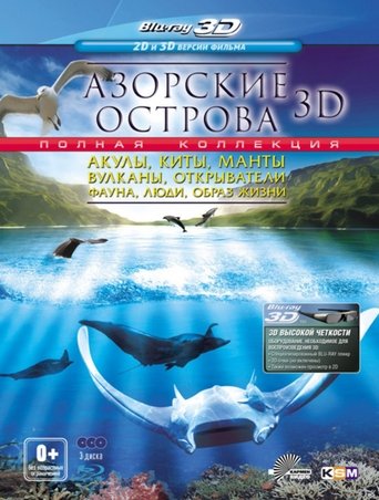 Poster of Azoren 3D