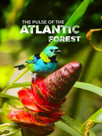 Poster of The Pulse of the Atlantic Forest