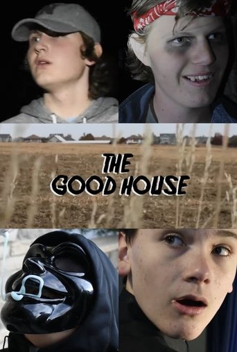 Poster of The Good House