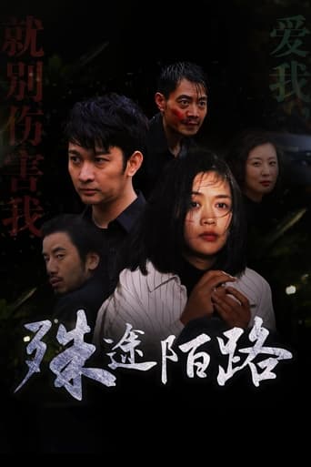 Poster of 殊途陌路