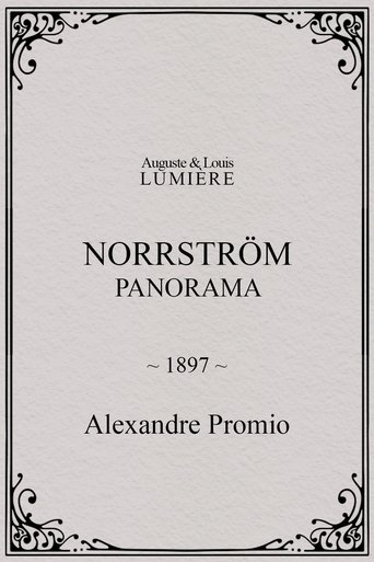 Poster of Norrström: panorama