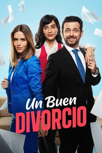 Poster of Un buen divorcio